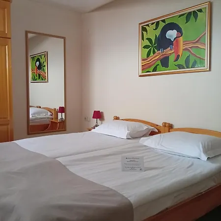 Vihren Royal Palace 酒店 4*