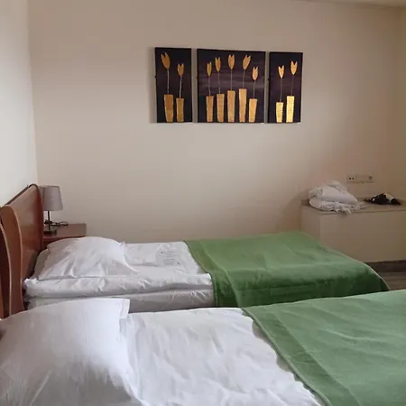 Vihren Royal Palace 酒店