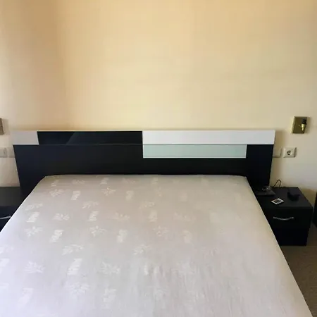 Vihren Royal Palace 酒店 班斯科